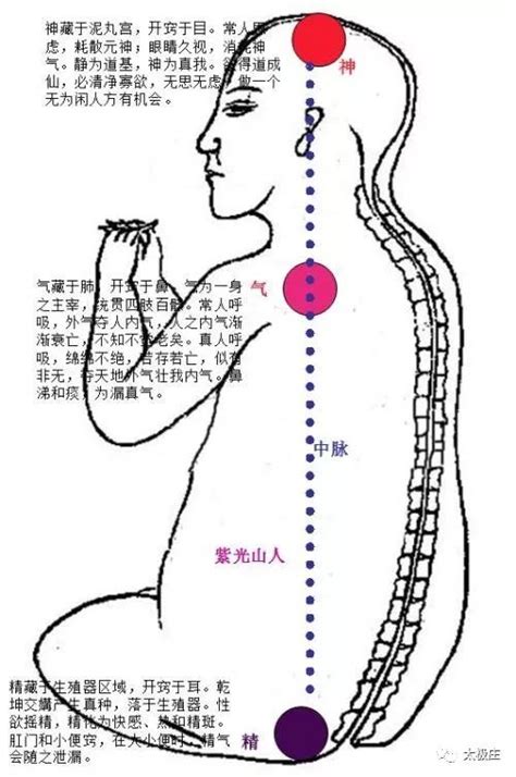 玄关穴|穴位玄关在人体的那个部位？